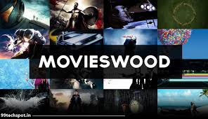 Movieswood 2022: Top Hollywood, Bollywood, South Movies Download 3 Movieswood org